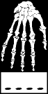 hand.gif (2101 Byte)